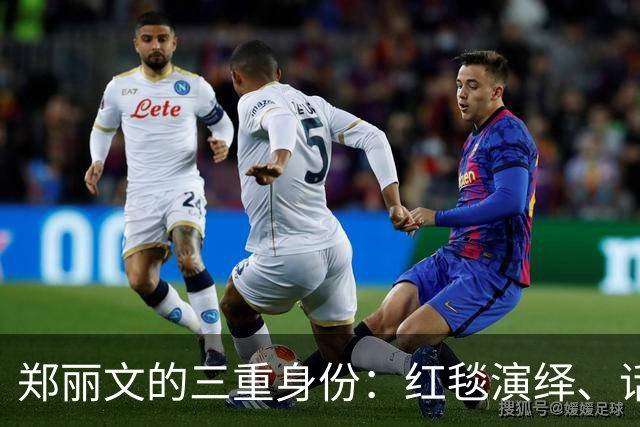 郑丽文的三重身份：红毯演绎、话筒舞步与捐款高光